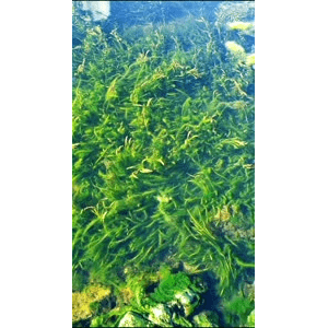 高清风景1131