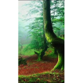 高清风景1134