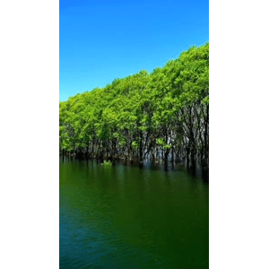 高清风景1138