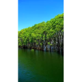 高清风景1138