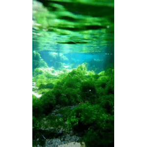 高清风景1140