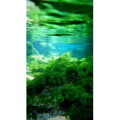高清风景1140