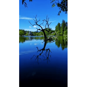 高清风景1142