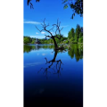 高清风景1142