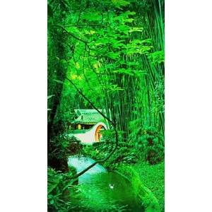 高清风景1148