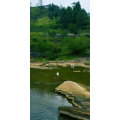 高清风景1149