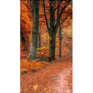 高清风景1150