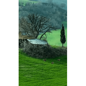 高清风景1156