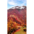 高清风景1158