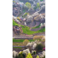 高清风景1160