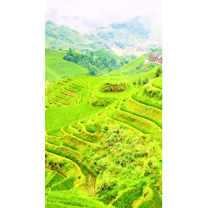 高清风景1166
