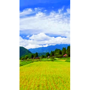 高清风景1168