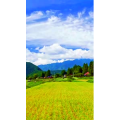 高清风景1168