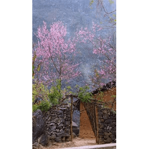 高清风景1171