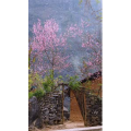 高清风景1171
