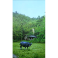 高清风景1194