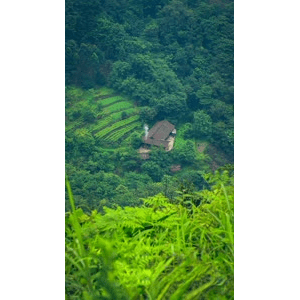 高清风景1196