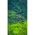 高清风景1196