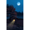 高清风景1203