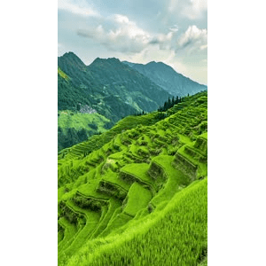 高清风景1213