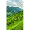 高清风景1213
