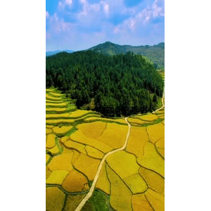 高清风景1215