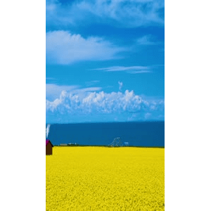 高清风景1222