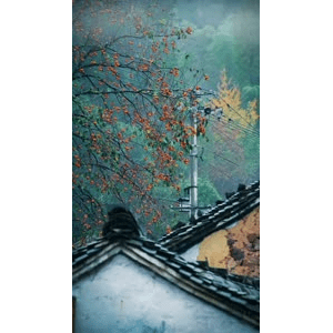 高清风景1225
