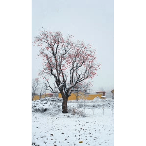 高清风景1227