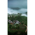 高清风景1229