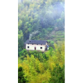 高清风景1230
