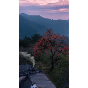 高清风景1232
