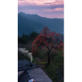 高清风景1232
