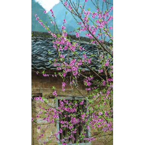 高清风景1234