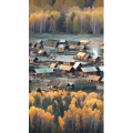 高清风景1237