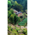 高清风景1240