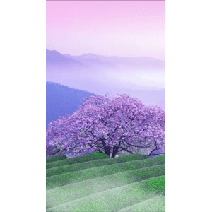 高清风景1242