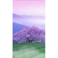高清风景1242