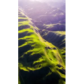 高清风景1287