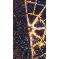 高清风景1291