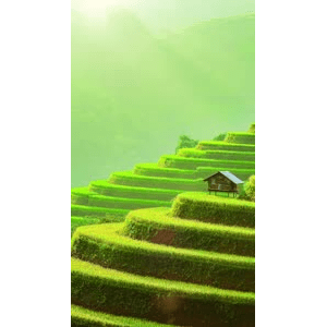 高清风景1305