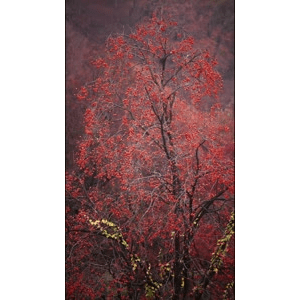 高清风景1344