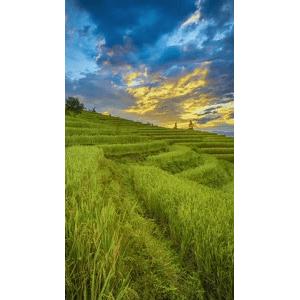 高清风景1346
