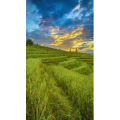 高清风景1346