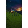 高清风景1351