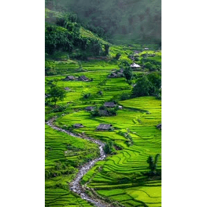 高清风景1352