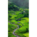 高清风景1352