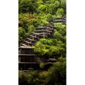 高清风景1364