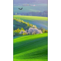 高清风景1366