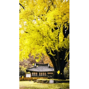 高清风景1373